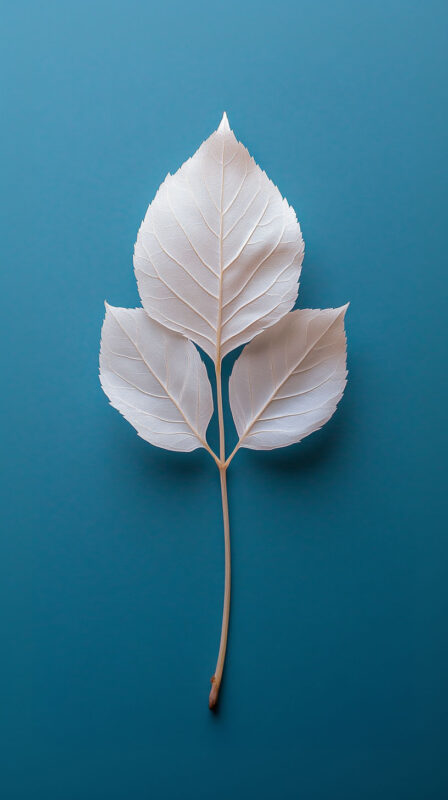leaf wallpaper